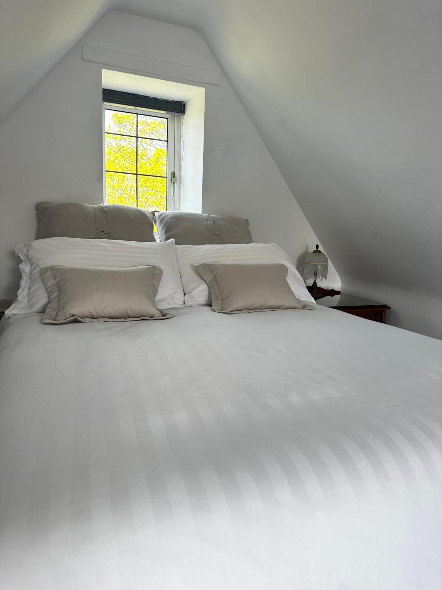 Chambre Quadruple avec Douche